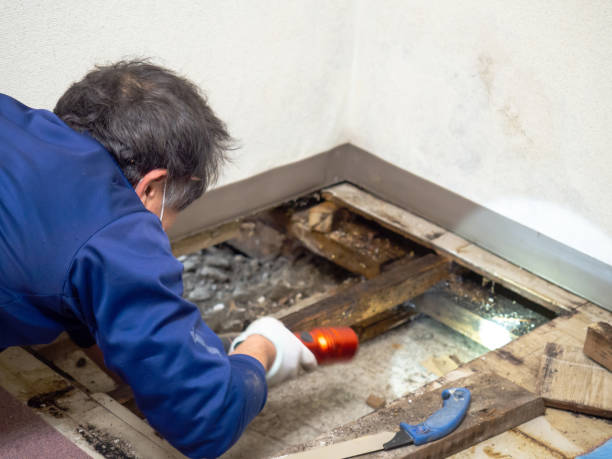 Best Industrial Mold Remediation in Monfort Heights, OH