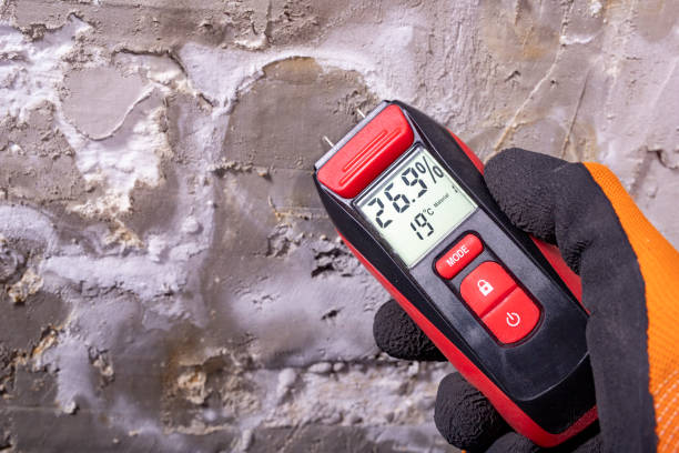 Best Health and Safety Mold Remediation in Monfort Heights, OH