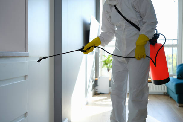 Best Insurance-Related Mold Remediation in Monfort Heights, OH